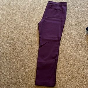 Loft Sutton Skinny Pants Size 14 in Plum. Great Condition.